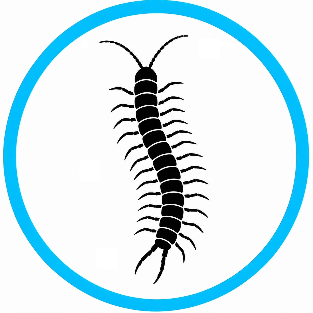 Termite / wood-pest icon